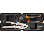 Set cleste menghina si papagal automat