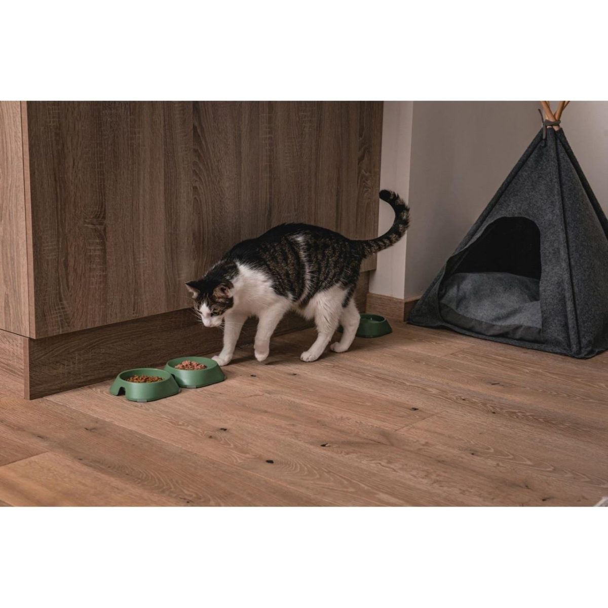 Castron, Bol, Plat, Pentru Caine, Pisica, Suporti Antiderapanti, Pet Reciclat, Verde, 13X13X3.6 Cm