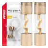 Set 2 sigurante din sticla tip AGU, contacte aurite, 40A