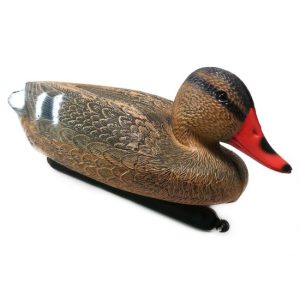 Decoratiune gradina/apa