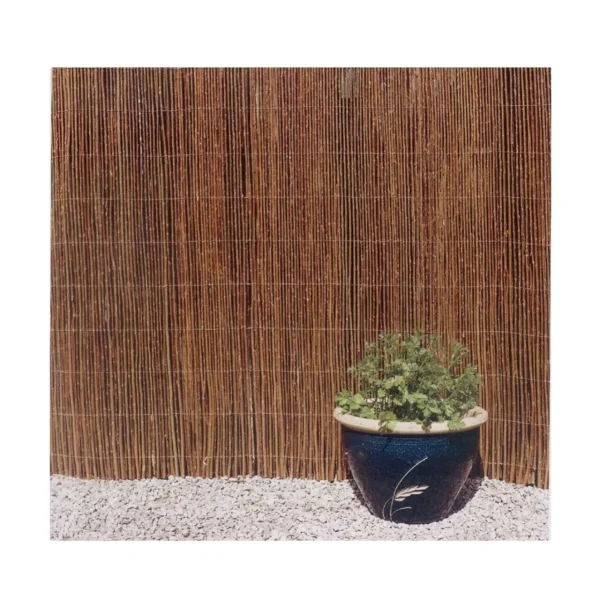 Gard gradina/paravan din rachita naturala, 5x2 m