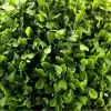 Planta artificiala, arbust, forma sferica, buxus, diametru 39 cm