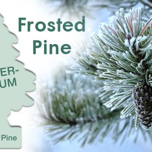 Odorizant Auto Wunder-Baum®, Frosted Pine