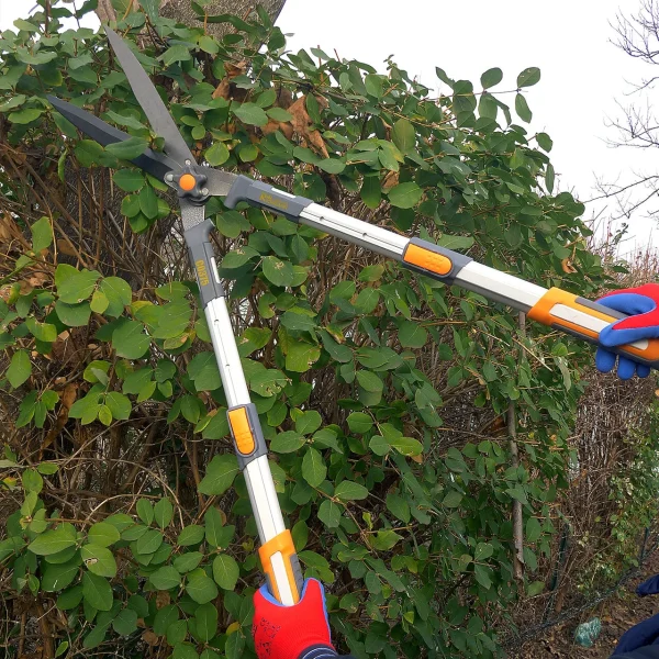 Foarfeca gard viu, arbusti, lama teflonata, otel japonez SK 5, maner aluminiu telescopic 71-83 cm, Richmann Exclusive