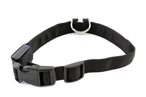 Zgarda iluminata cu LED pentru caine sau pisica, culoare Albastra, AVX-AG232A