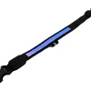 Zgarda iluminata cu LED pentru caine sau pisica, culoare Albastra, AVX-AG232A