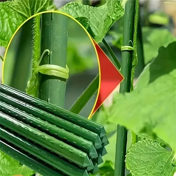 Ansamblu suport araci cu plasa pentru cresterea plantelor cataratoare, castraveti, fasole, mazare, 210x210x1.6 cm