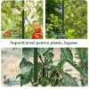 Suport/arac pentru plante, rosii, metal + PVC, verde, 2x120 cm, Artool