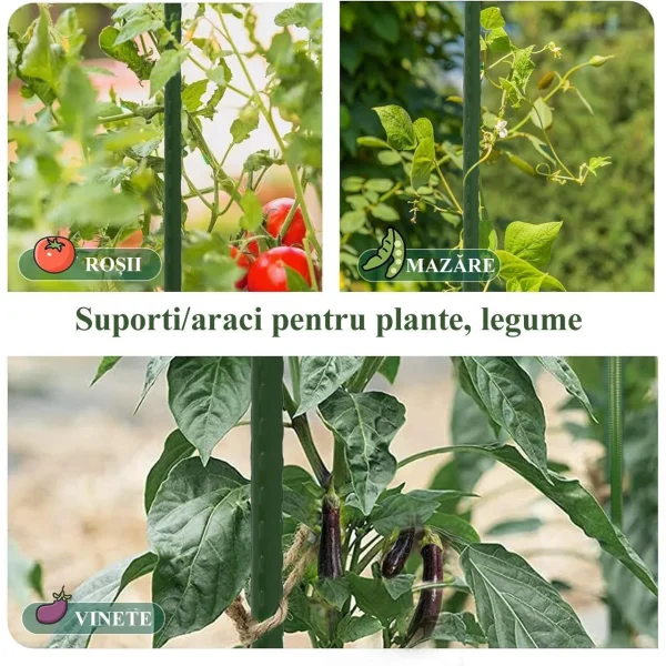 Suport/arac pentru plante, rosii, metal + PVC, verde, 1.6x150 cm, Artool