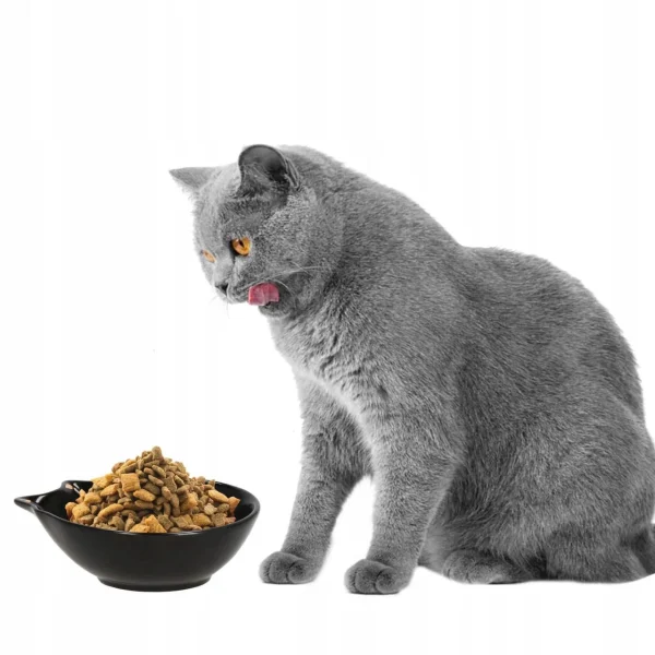 Castron, bol, pentru caine, pisica, ceramica, negru, model pisica, 15x11x5 cm