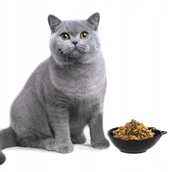 Castron, bol, pentru caine, pisica, ceramica, negru, model pisica, 15x11x5 cm