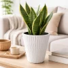 Set 2 ghivece de flori, Sandy, rotunde, 39x43.6 cm, alb, Prosperplast