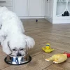 Castron Metalic pentru hranire animale de companie - 15cm