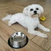 Castron Metalic pentru hranire animale de companie - 15cm