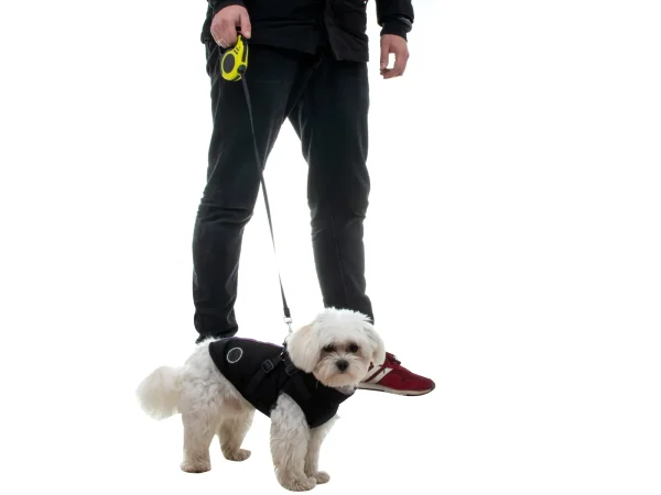 Lesa Retractabila Automata 3m lungime pentru caini de pana la 8kg