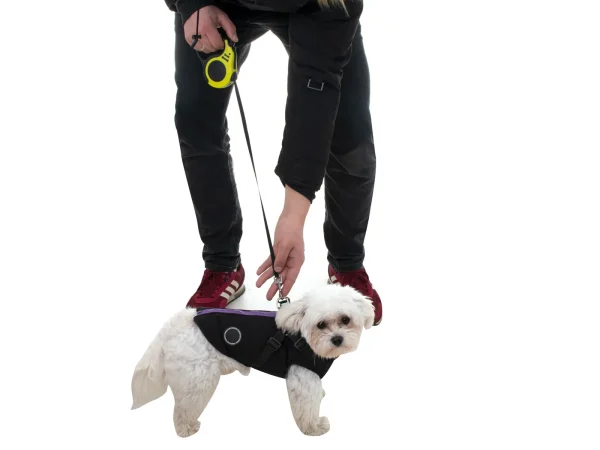 Lesa Retractabila Automata 3m lungime pentru caini de pana la 8kg