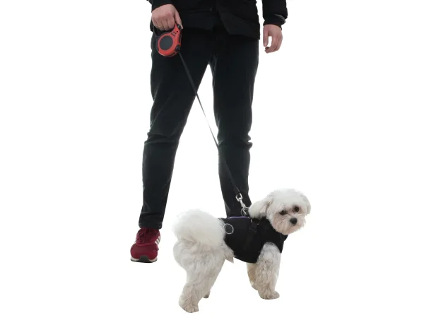 Lesa Retractabila Automata 5m lungime pentru caini de pana la 14 kg