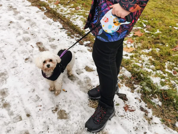 Lesa Retractabila Automata 5m lungime pentru caini de pana la 8kg