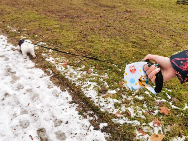 Lesa Retractabila Automata 5m lungime pentru caini de pana la 8kg