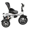 Tricicleta si Carucior pentru copii Premium TRIKE FIX V3 culoare Gri