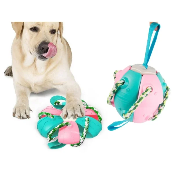 Jucarie pentru caine, tip frisbee/minge, Verk Group, plastic, roz si albastru