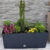 Set 2 jardiniere decorative, sistem irigare, imitatie ratan, antracit, 30 L, 60x25x24 cm, Rato Case