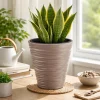 Set 2 ghivece de flori, Sand, rotunde, 38.8x43.6 cm, cafeniu, Prosperplast