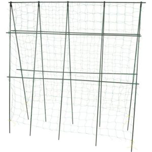 Ansamblu suport araci cu plasa pentru crestere castraveti