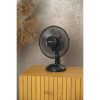 Ventilator pentru masa, 25 W, 2 viteze, 27x37 cm, Strend Pro