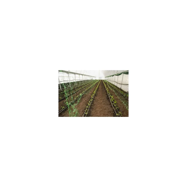 Plasa pvc, pentru urcarea plantelor in cultura castravetilor, 1.5x10 m  