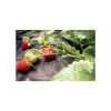 Folie antiburuieni, textila, neagra, 50 g/m2, 0.9x10 m