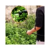Pulverizator gradina, pompa de stropit, vermorel, manual, pentru spate, 15 L, Dimartino
