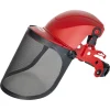 Casca protectie cu viziera si antifoane, Safetyco