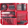 Masina gaurit/insurubat, 2x20V Li-ion, 2 Ah, incarcator si set burghie, varfuri si biti, 73 piese