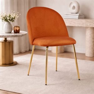 Scaun bucatarie/living