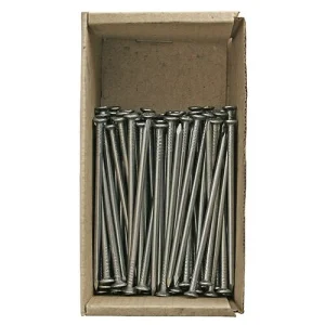 Cuie 63x2.5mm, 1kg, Strend Pro