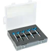 Set 5 freze pentru lemn, HSS, 15-35 mm, Richmann Exclusive
