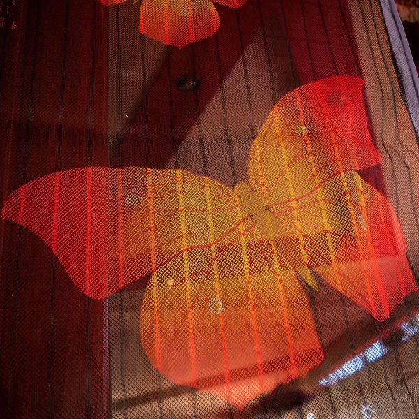Plasa pentru usa impotriva tantarilor, mustelor si altor insecte, cu magnet, model fluture, 218x96 cm