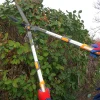 Foarfeca gard viu, arbusti, lama teflonata, otel japonez SK 5, maner aluminiu telescopic 71-83 cm, Richmann Exclusive