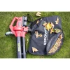 Aspirator/suflanta frunze, cu 2 acumulatori 4 Ah, incarcator 2 x20V Li-ion, sac colector, Worcraft