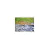Folie antiburuieni, polipropilena, tesuta, neagra, 100 g/m2, 1.5x10 m