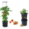 Ghiveci decorativ pentru rosii, rotund, antracit, 39.2x31.5x153 cm, Tomato Grower
