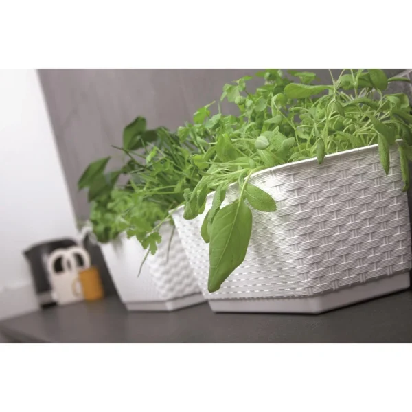 Jardiniera decorativa, Prosperplast, imitatie ratan, alba, 59x15.4x14.2 cm, Old