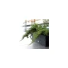 Jardiniera decorativa, sistem irigare, imitatie ratan, antracit, 30 L, 60x25x24 cm, Rato Case Old