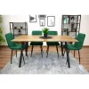 Scaun bucatarie/living, Artool, Kara, catifea verde, picioare metal negru, 44.5x50.5x87 cm