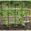 Ansamblu suport araci cu plasa pentru crestere castraveti, fasole, mazare, 180x180x1.1 cm, Strend Pro