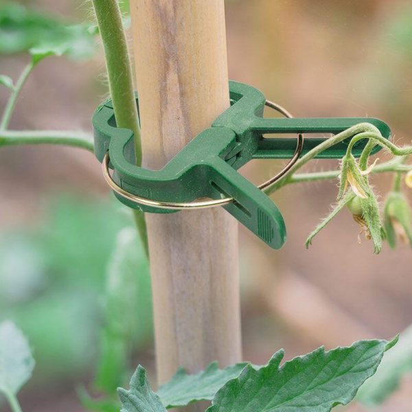 Clema de prindere pentru plante, 63 mm, pentru araci de max 16.2 mm, set 12 buc, Strend Pro