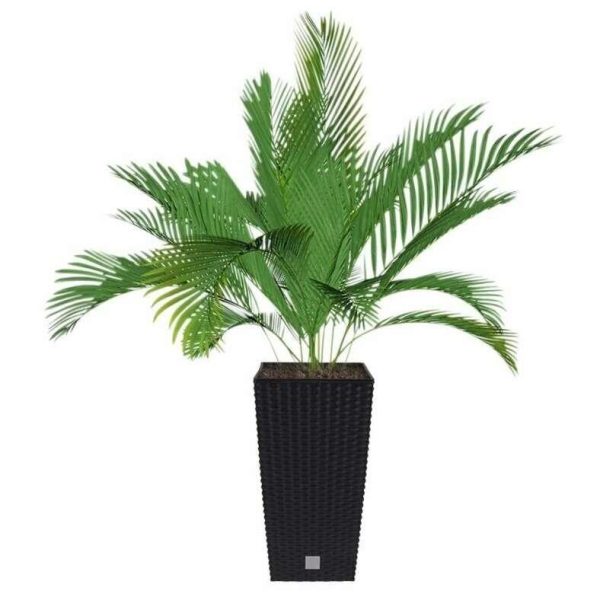 Set 2 ghivece de flori, Rato, imitatie ratan, inalte, 22.5x22.5x42 cm, negru, Prosperplast