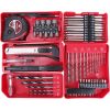 Masina gaurit/insurubat, 2x20V Li-ion, 2 Ah, incarcator si set burghie, varfuri si biti, 73 piese