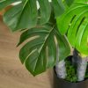 Planta artificiala, monstera cu ghiveci, verde, 120 cm